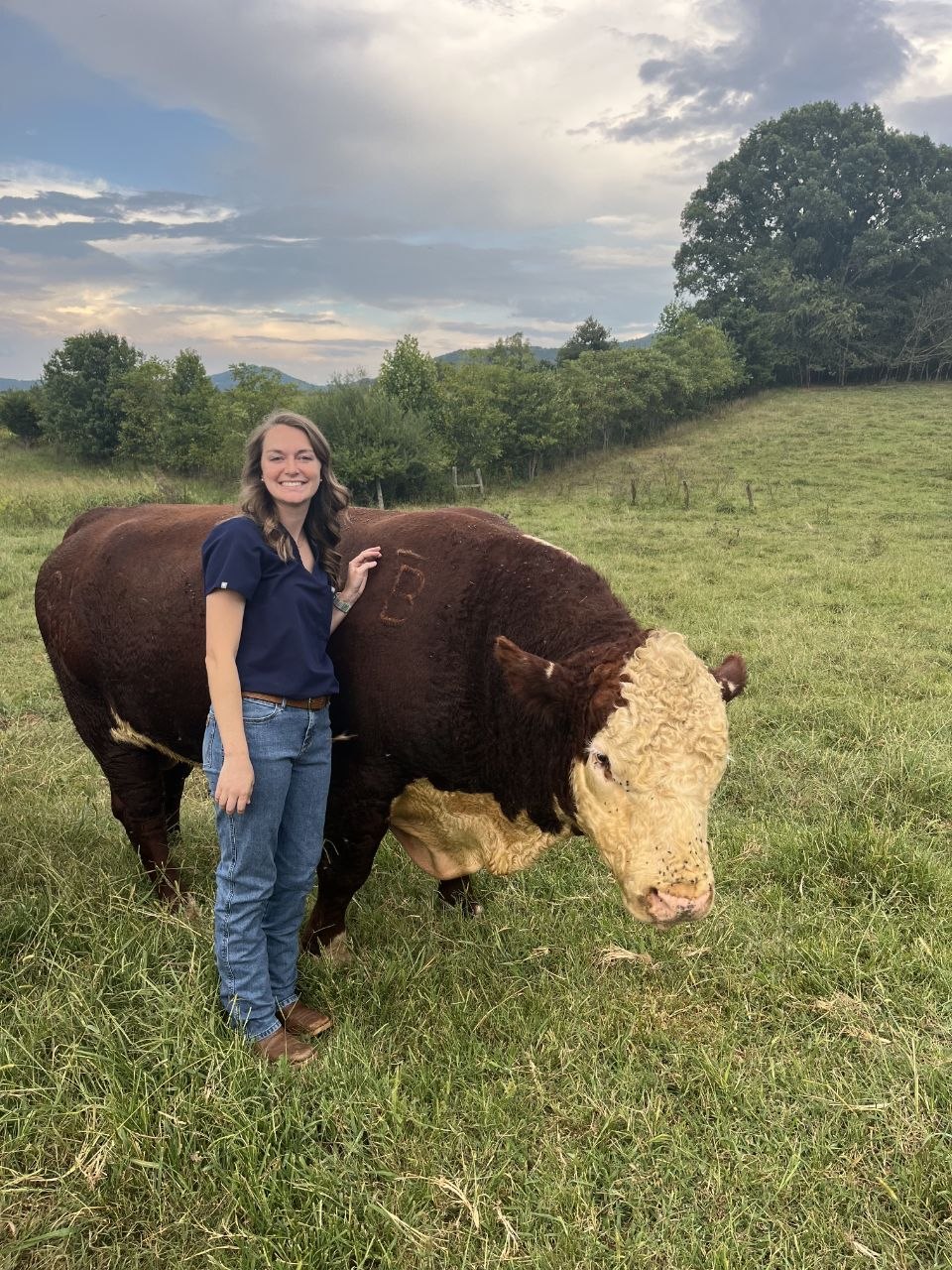 Elizabeth Teaster, DVM, standing with a Hereford bull in an East Tennessee pasture